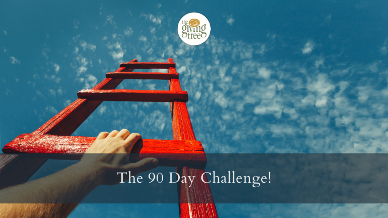 The 90 Day Challenge!