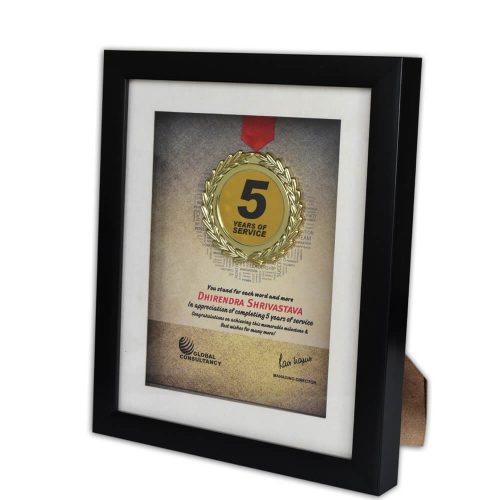 Hall Of Fame Anniversary Frame