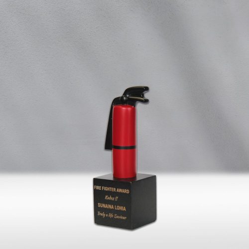 Fire Fighter Award