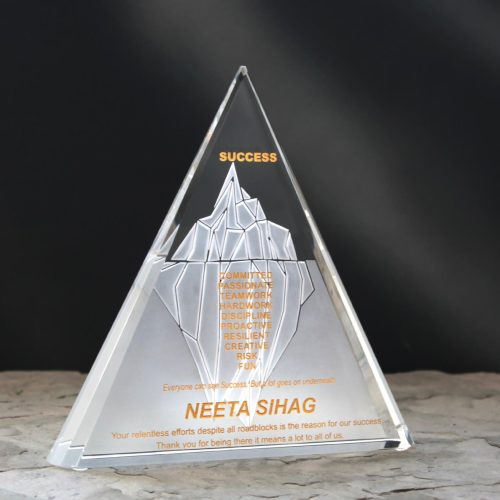 Vision Crystal Award