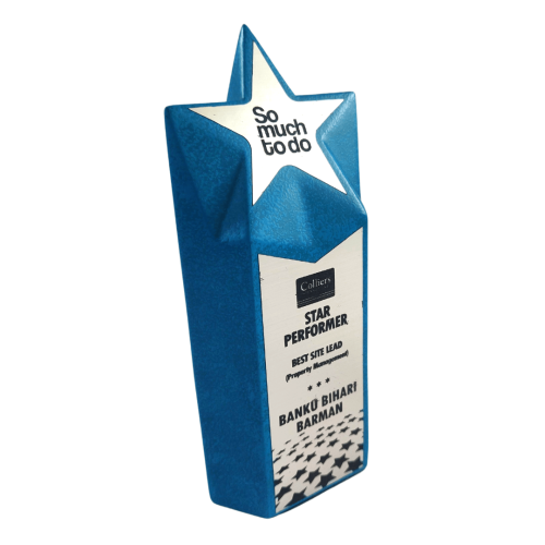 Star Tower Award