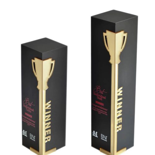 Everyone's Favourite Column Award