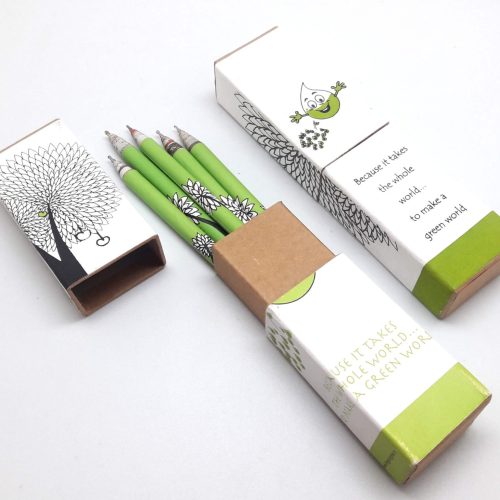Pen Box (set of 5 pens) - Eco Theme