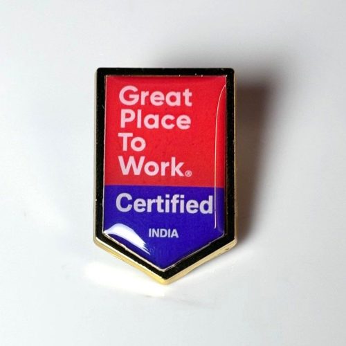 Vivid Pins Pennant